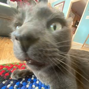 Meet your Posher, Olivia